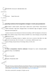 Vignette du fichier