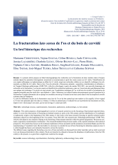 Vignette du fichier
