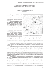Vignette du fichier