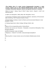 Vignette du fichier