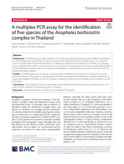 Vignette du fichier
