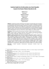 Vignette du fichier
