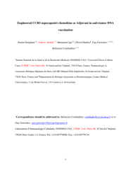 Vignette du fichier