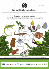 Vignette du fichier