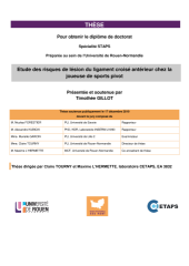Vignette du fichier