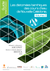 Vignette du fichier