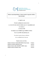 Vignette du fichier