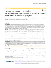 Vignette du fichier