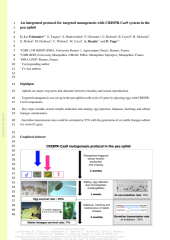 Vignette du fichier