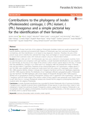 Vignette du fichier