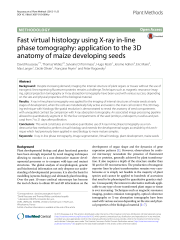 Vignette du fichier