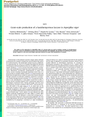 Vignette du fichier
