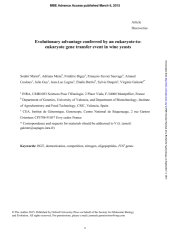 Vignette du fichier