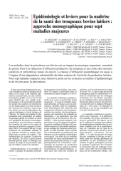 Vignette du fichier
