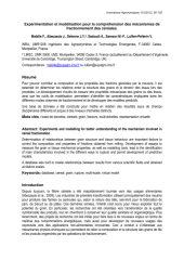 Vignette du fichier