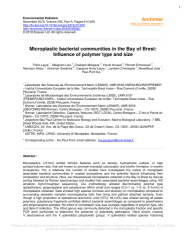 Vignette du fichier