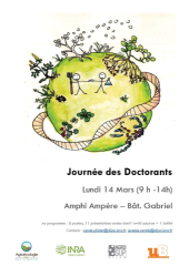 Vignette du fichier