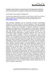 Vignette du fichier