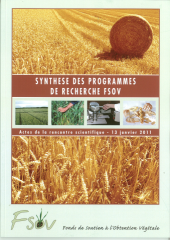Vignette du fichier