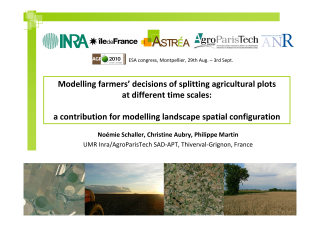 Vignette du fichier