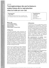 Vignette du fichier