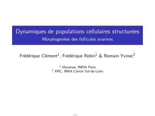 Vignette du fichier