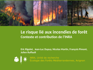 Vignette du fichier