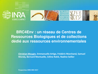 Vignette du fichier