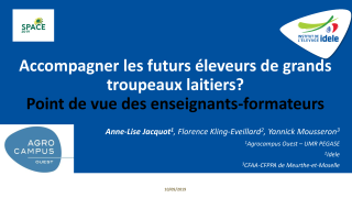 Vignette du fichier