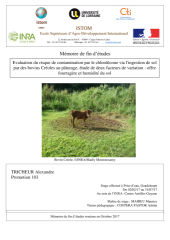 Vignette du fichier