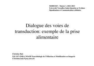Vignette du fichier
