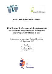 Vignette du fichier