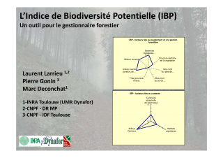 Vignette du fichier
