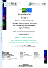 Vignette du fichier