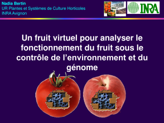 Vignette du fichier
