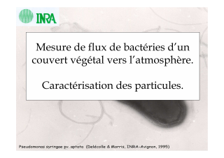 Vignette du fichier