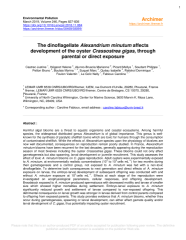 Vignette du fichier