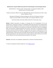 Vignette du fichier