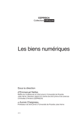 Vignette du fichier