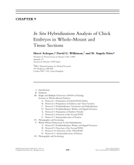 Vignette du fichier