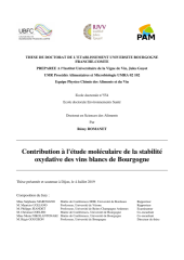 Vignette du fichier