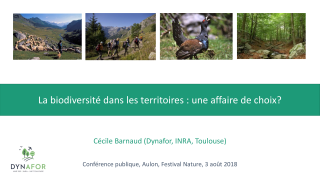 Vignette du fichier