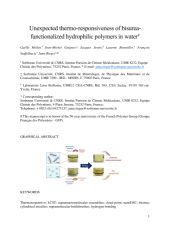 Vignette du fichier