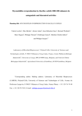 Vignette du fichier