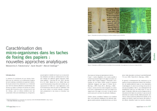 Vignette du fichier