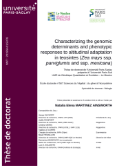 Vignette du fichier