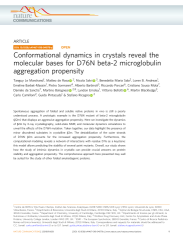 Vignette du fichier