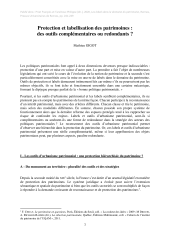 Vignette du fichier