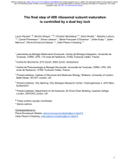 Vignette du fichier