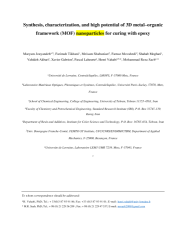 Vignette du fichier